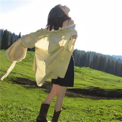 寻侠英雄传之伏虎